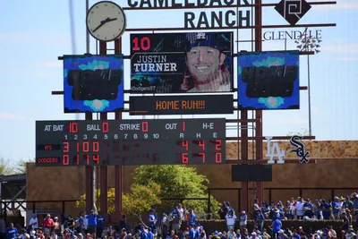 DSC_1617 (Large).JPG